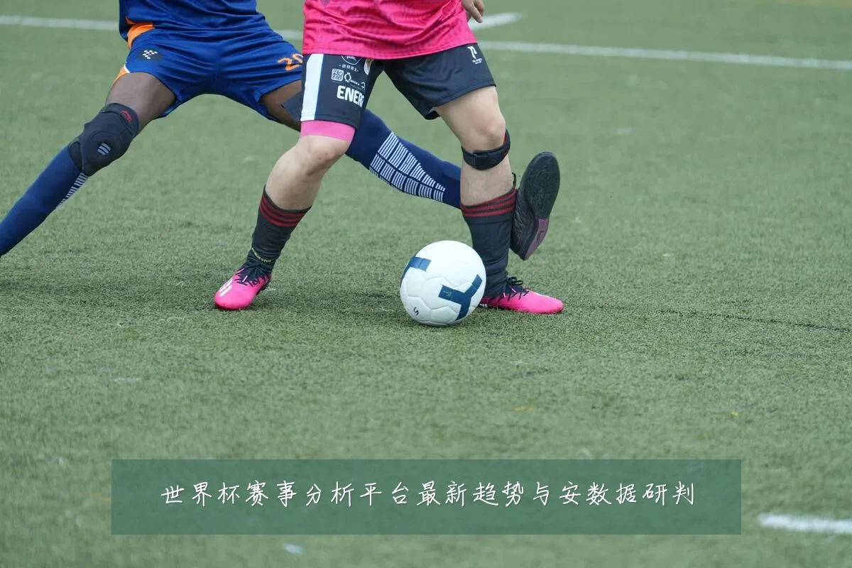 世界杯赛事分析平台最新趋势与安数据研判